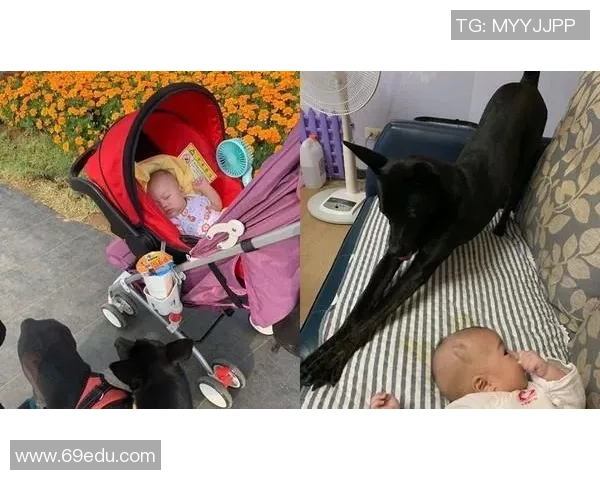 保姆在足球明星家中生活的趣事与挑战揭秘 保姆在足球明星家中生活的趣事与挑战揭秘