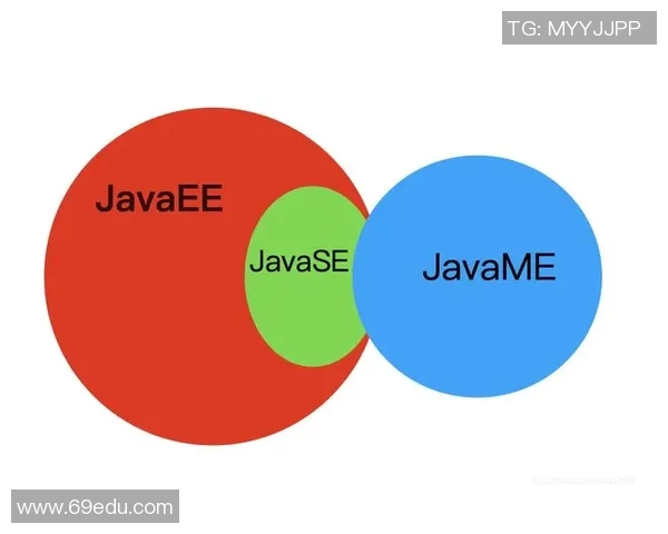 重庆网球队战术解析与对比探讨:优势与不足的全面剖析 重庆网球队战术解析与对比探讨:优势与不足的全面剖析